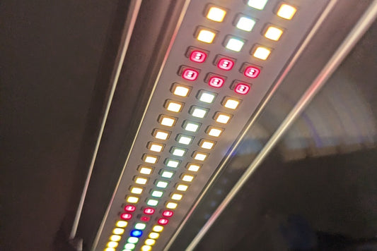 Ce que je pense du Spectrawild S320, un panneau LED horticole de pro