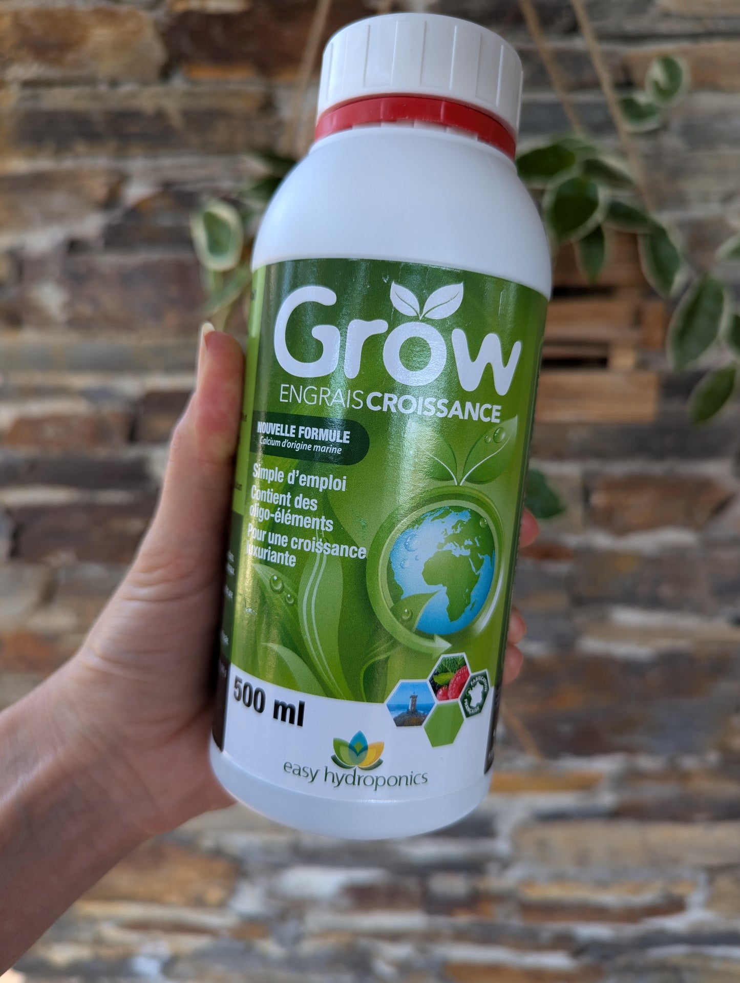 Easy Hydroponics Grow (500ml)