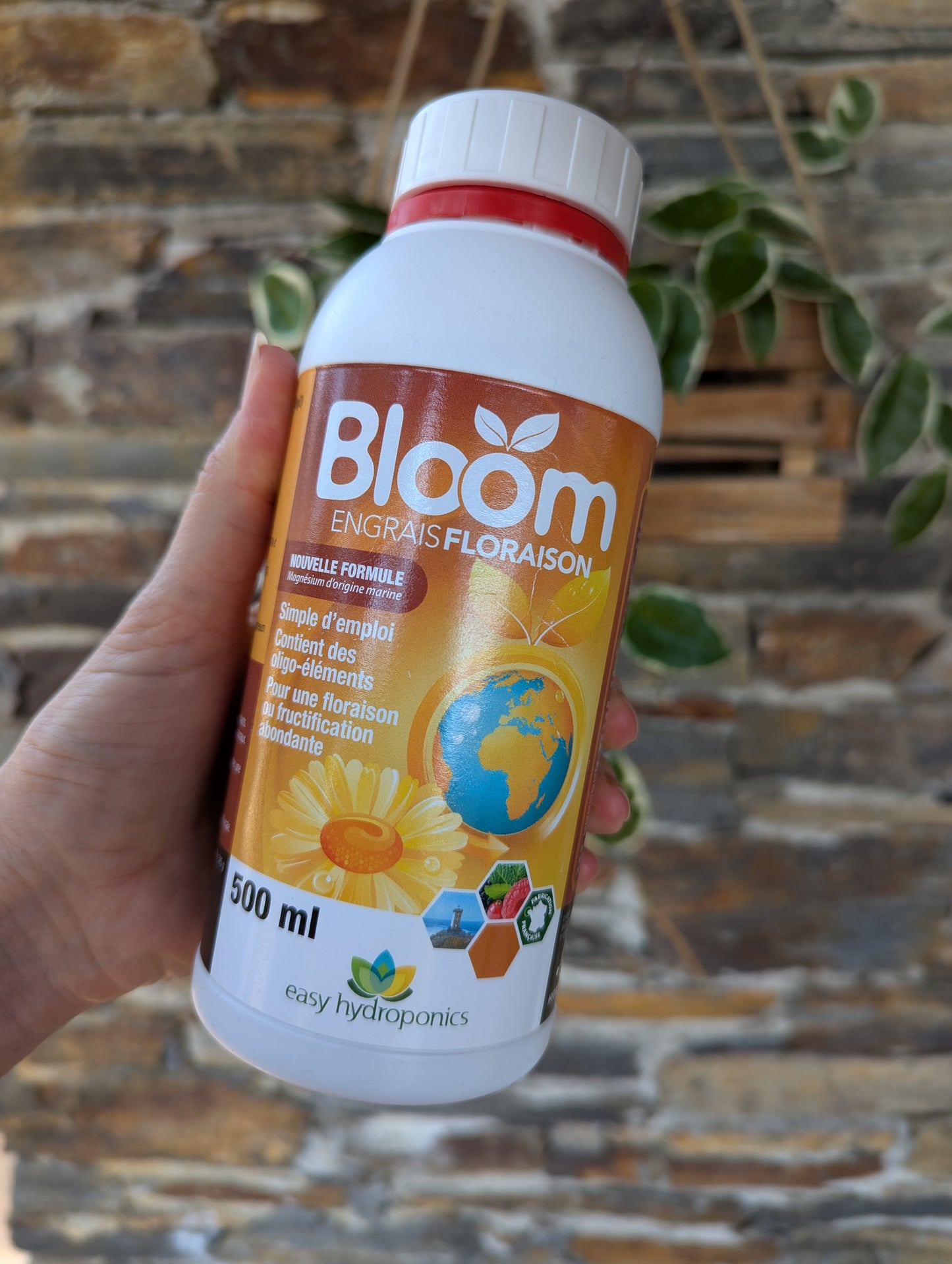 Easy Hydroponics Bloom (500ml)