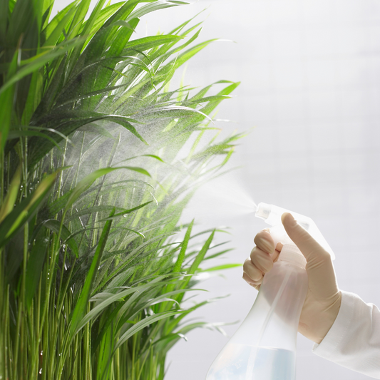 Un pulvérisateur envoie une brume sur des plantes vertes pour illustrer la pulvérisation foliaire