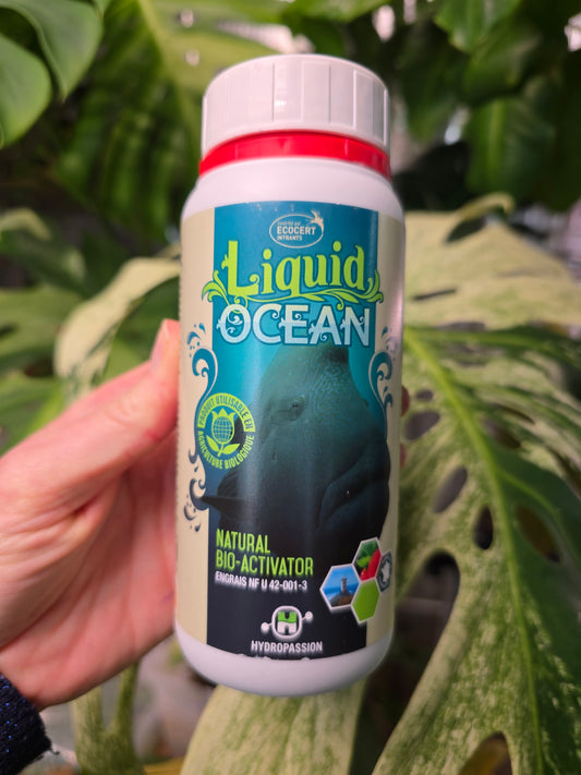 Liquid Ocean (250ml)