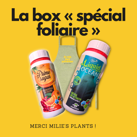 La box "spécial foliaire"