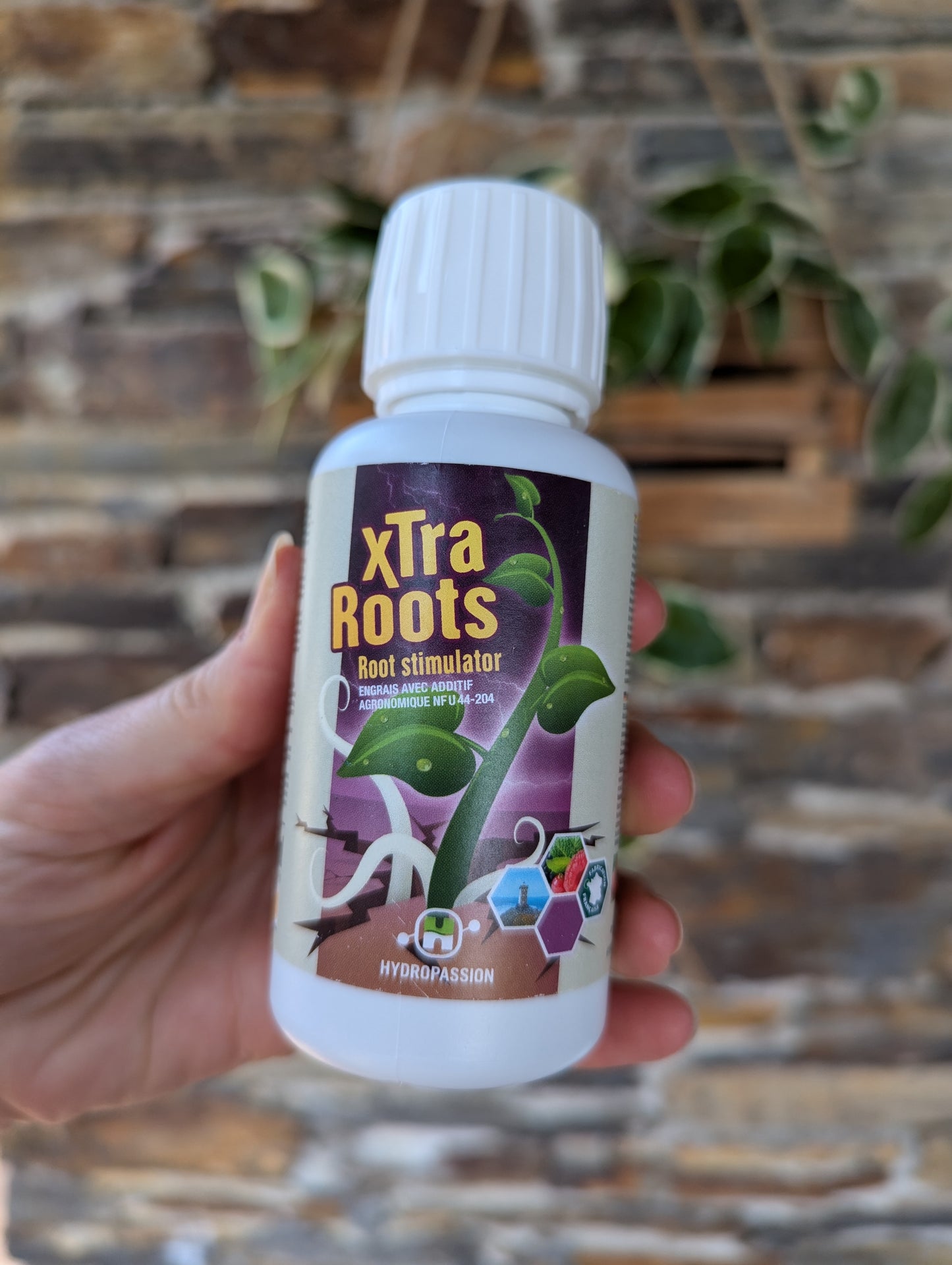 Xtra Roots